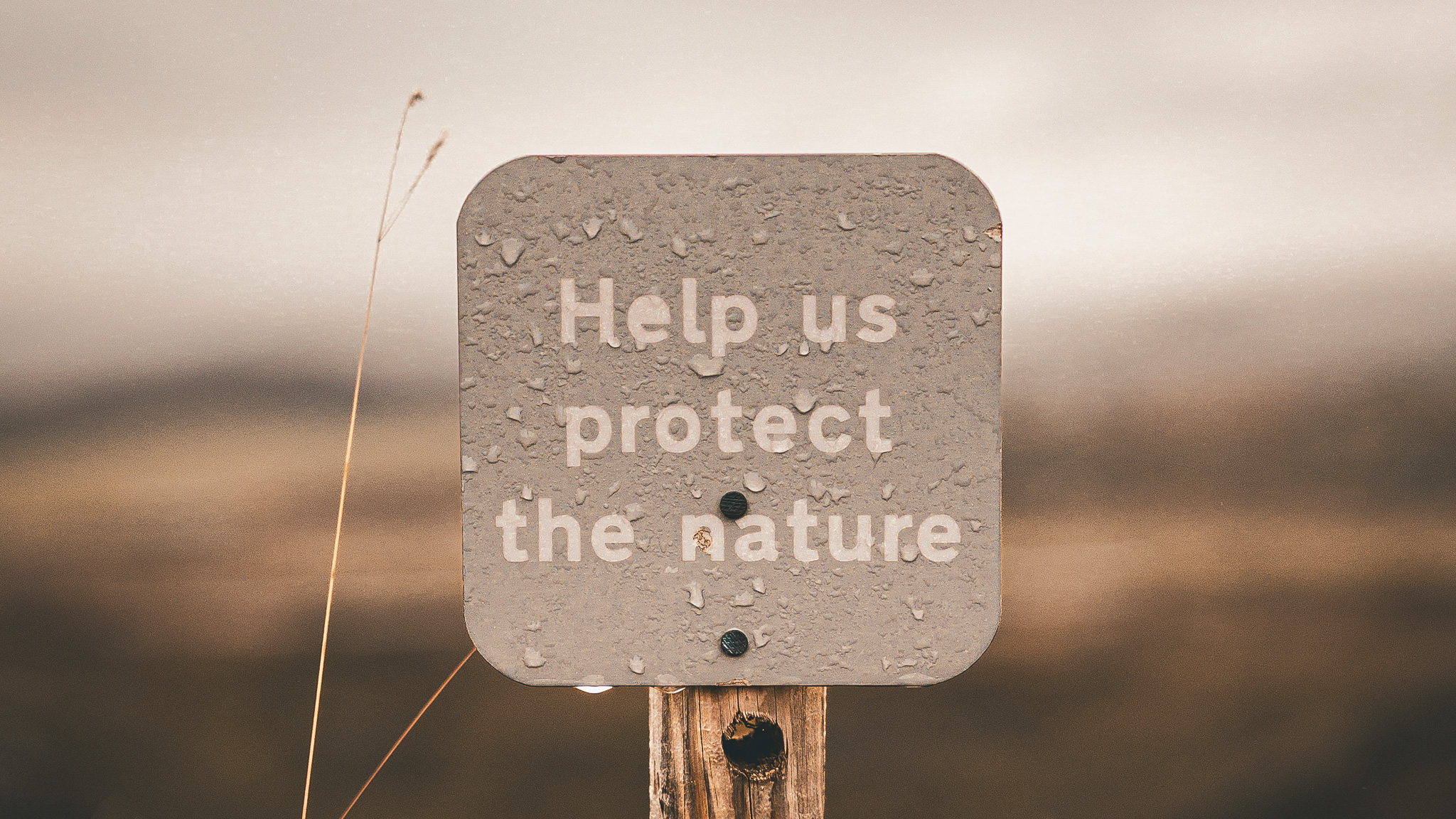 Help us protect the nature. You are welcome, what do you want to help us with?