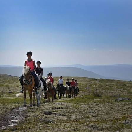 Rendalen Fjellridning på Unset